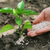 alt="fertilizantes nitrogenados"