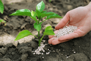 alt="fertilizantes nitrogenados"