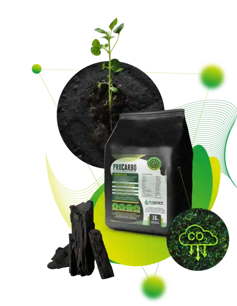 Biochar adubo organico 1